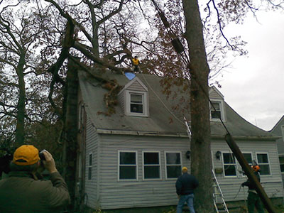 Disaster relief image 2